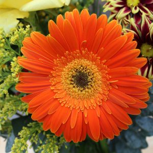 Professional Portraiture for Professionals