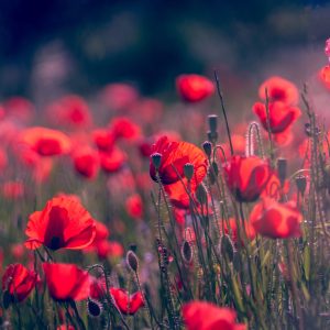 Online Store Product Photography